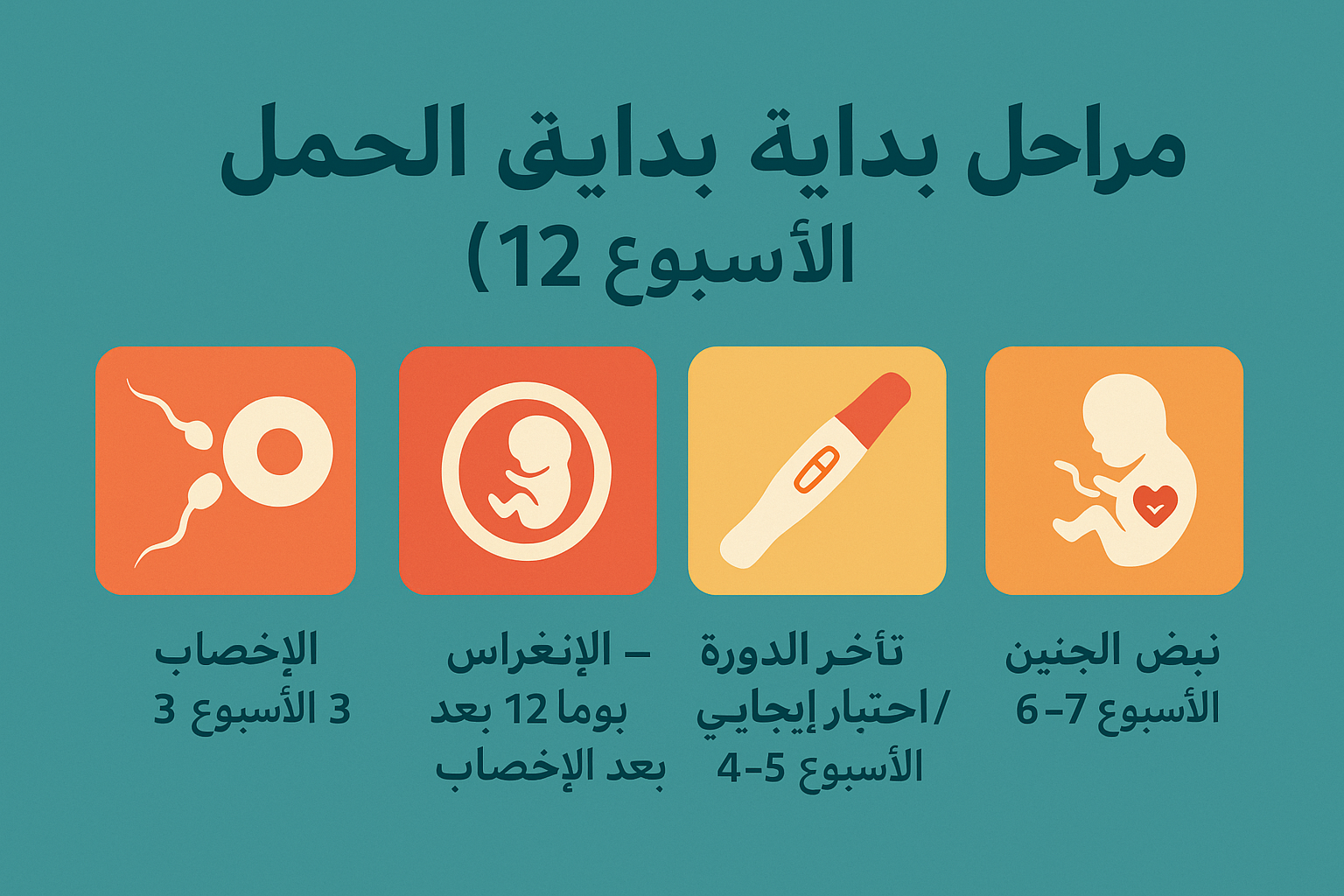 حمل